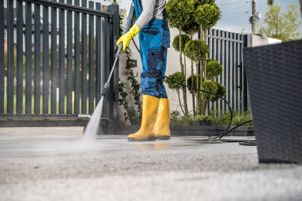 Best Soft Washing for Delicate Surfaces in Olathe, CO